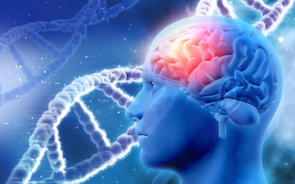 alzheimers disease