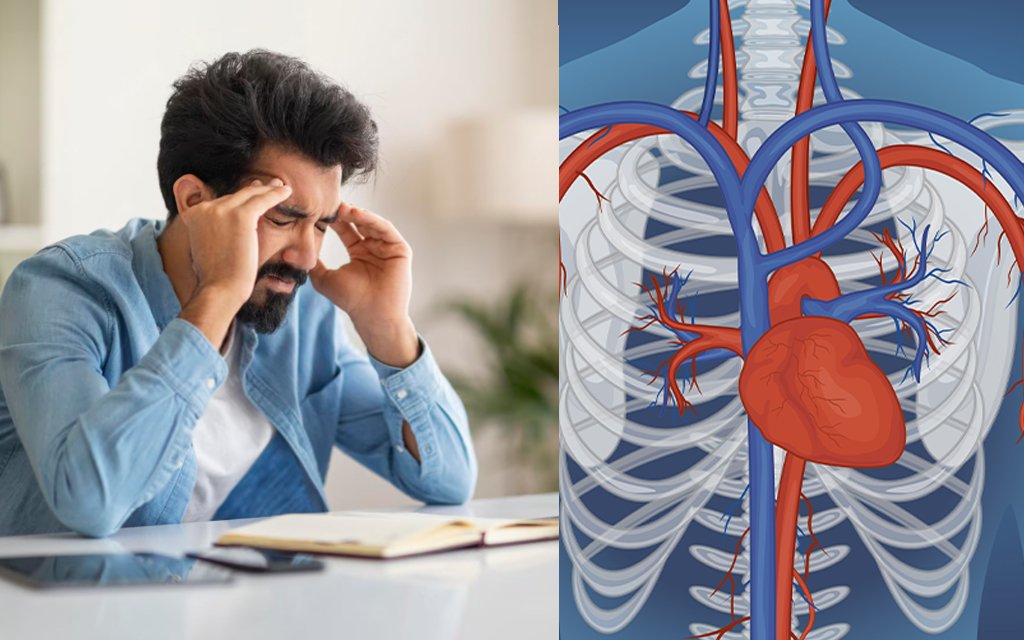link between stress