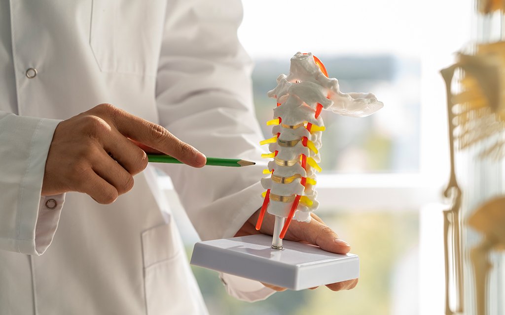Ortho tips